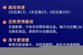 魏都为什么选择专业追讨公司来处理您的债务纠纷？